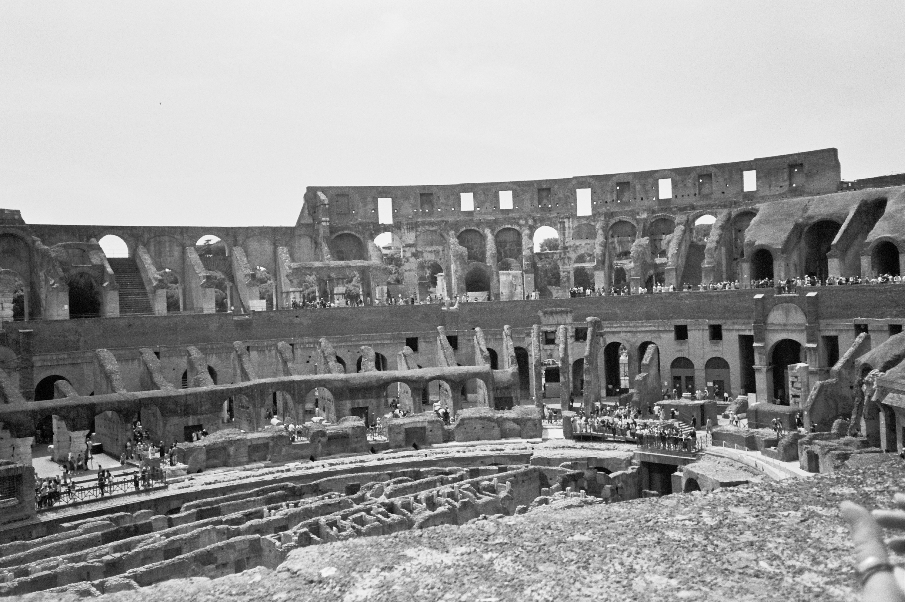 The Colosseum Rome 2024