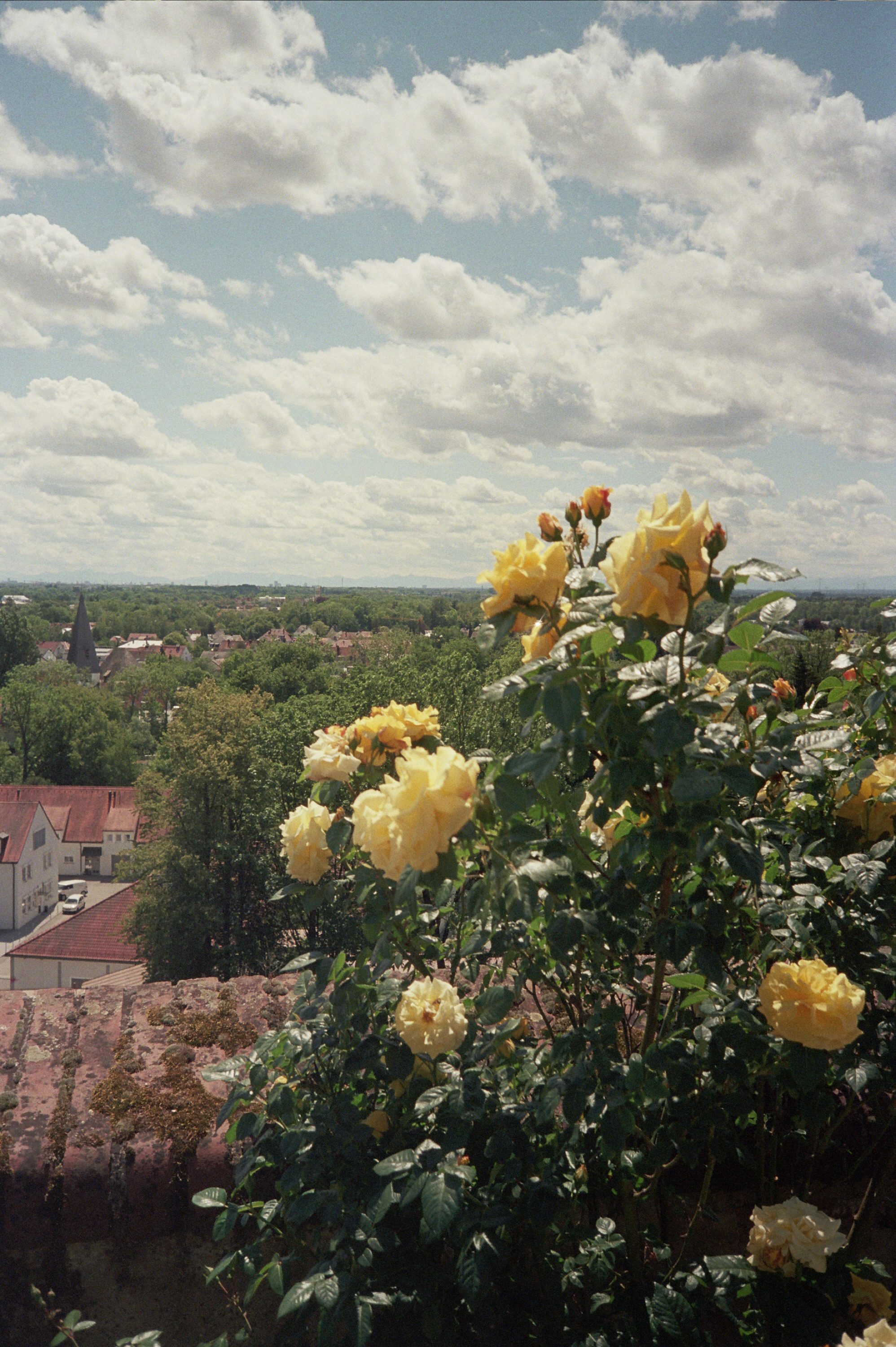 AgfaPhoto